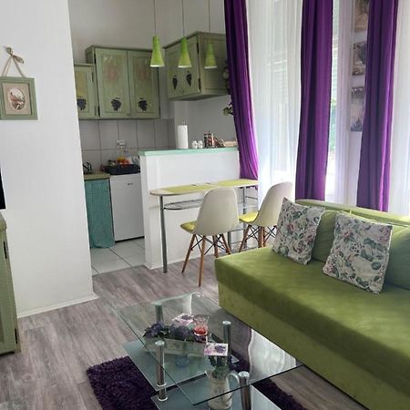 Center Cosy Vintage Apartment โนวีซาด ภายนอก รูปภาพ