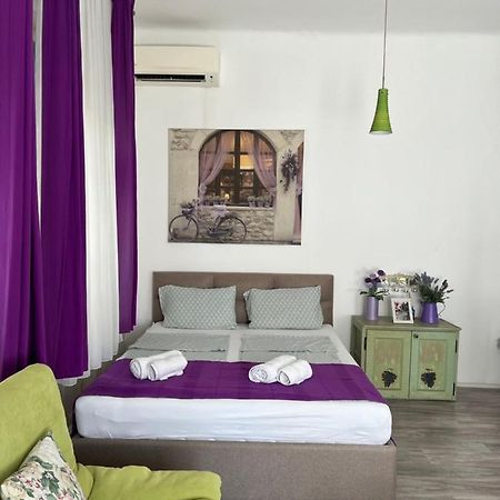 Center Cosy Vintage Apartment โนวีซาด ภายนอก รูปภาพ