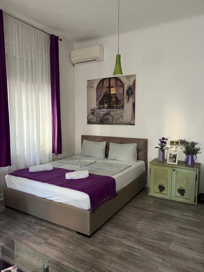 Center Cosy Vintage Apartment โนวีซาด ภายนอก รูปภาพ