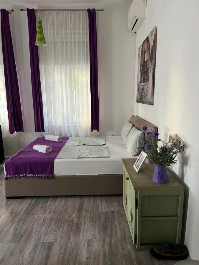 Center Cosy Vintage Apartment โนวีซาด ภายนอก รูปภาพ