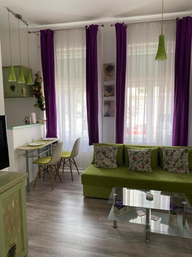 Center Cosy Vintage Apartment โนวีซาด ภายนอก รูปภาพ