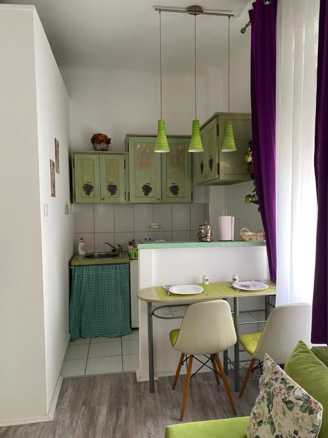 Center Cosy Vintage Apartment โนวีซาด ภายนอก รูปภาพ