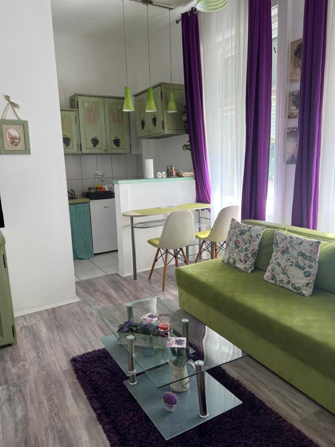 Center Cosy Vintage Apartment โนวีซาด ภายนอก รูปภาพ