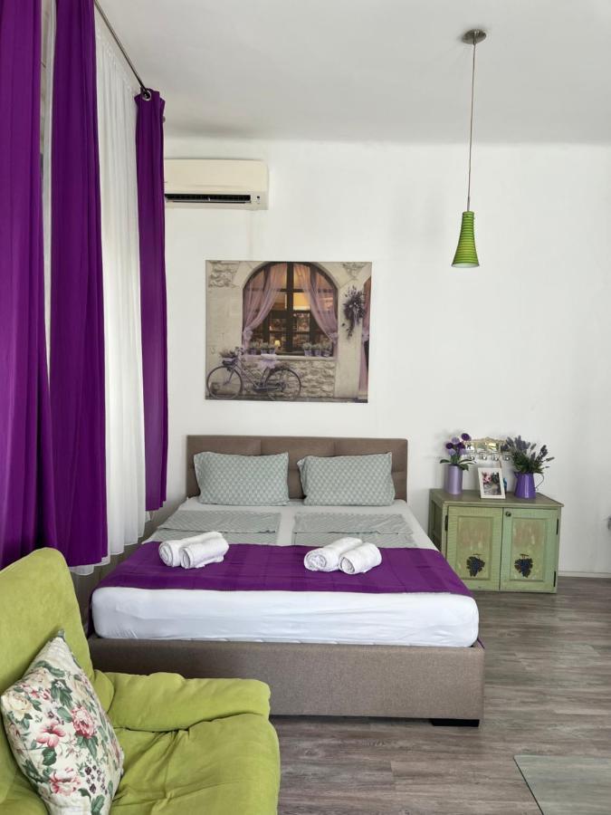 Center Cosy Vintage Apartment โนวีซาด ภายนอก รูปภาพ