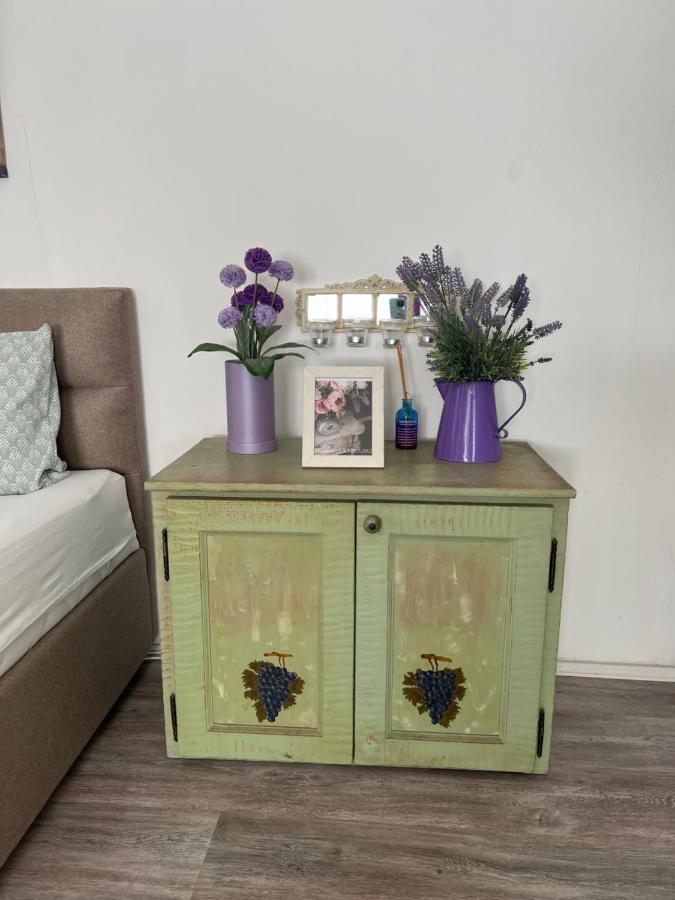 Center Cosy Vintage Apartment โนวีซาด ภายนอก รูปภาพ