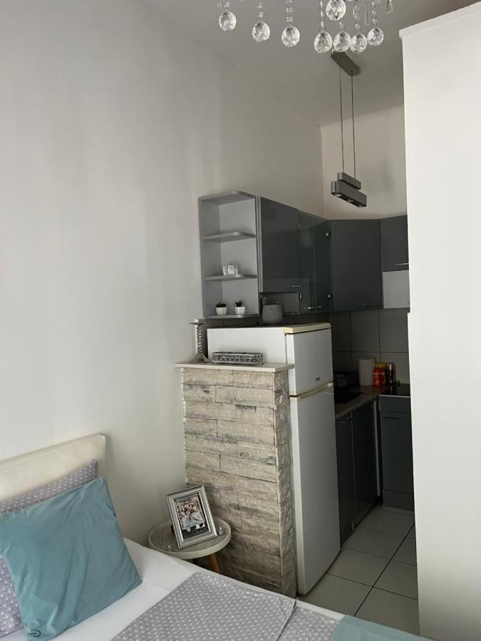 Center Cosy Vintage Apartment โนวีซาด ภายนอก รูปภาพ